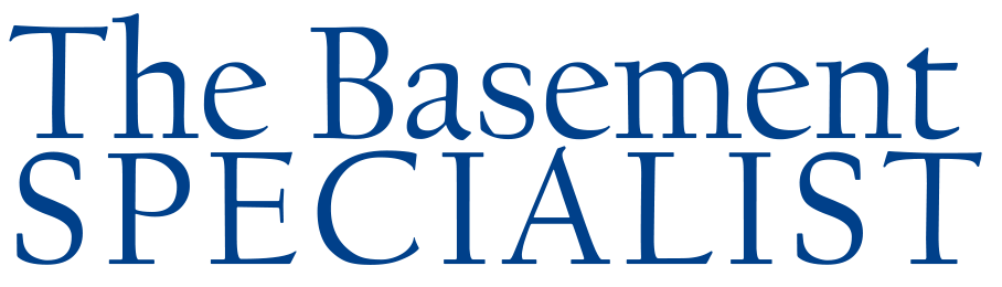 the basement specialist placeholder logo